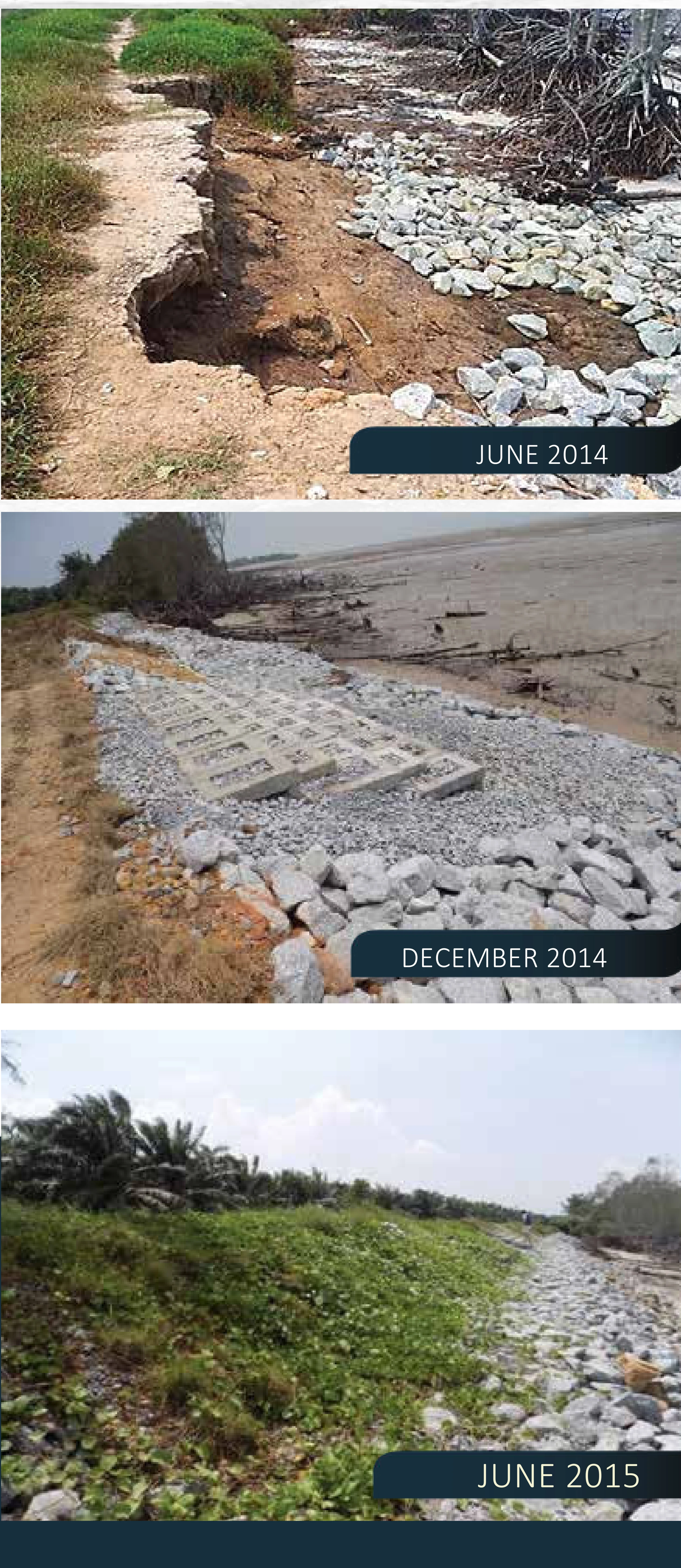 Nature-inspired revetment system and rehabilitation sequence